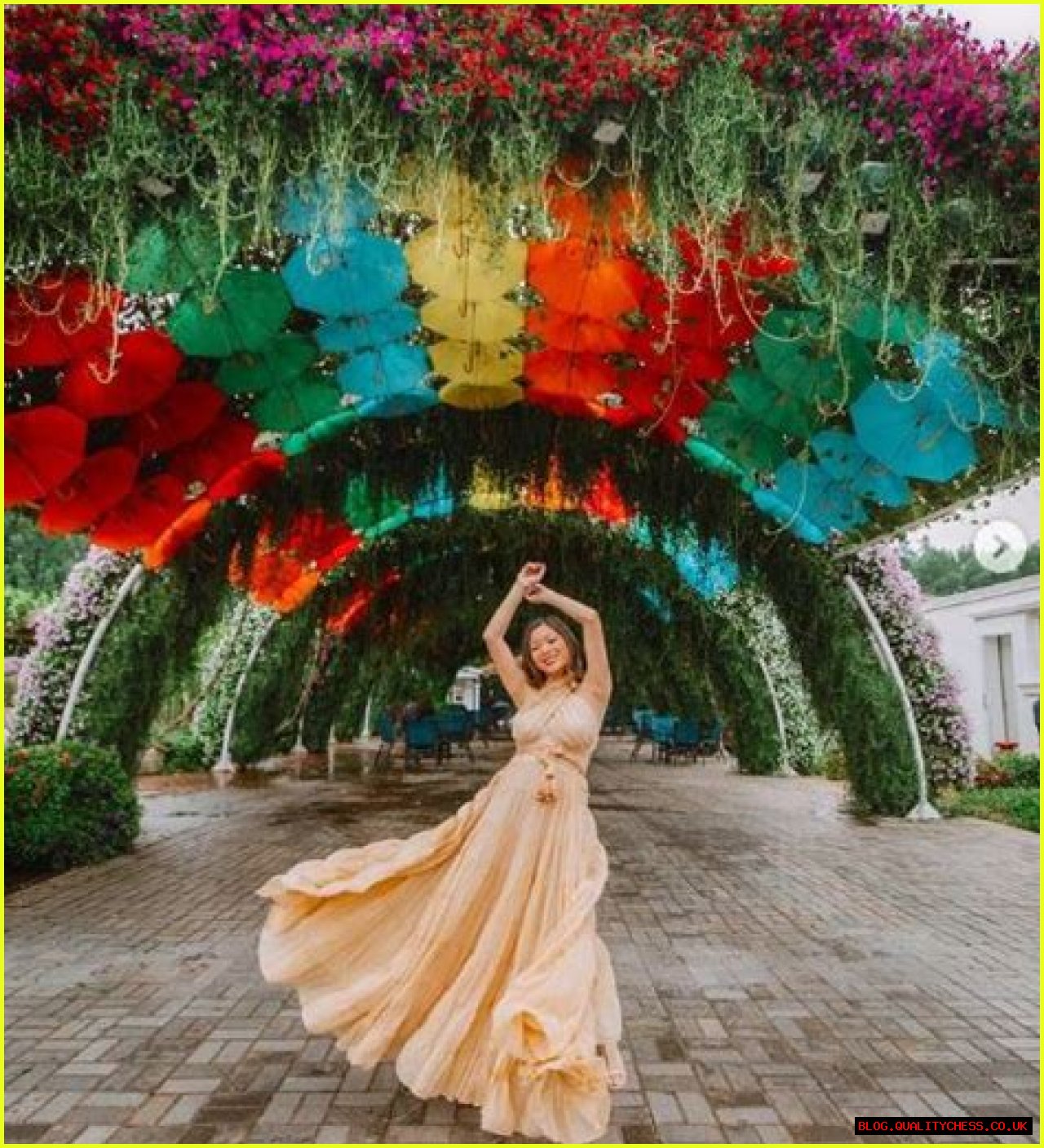 Christine Tran Ferguson Net Worth, Age, Biography, Wiki, Career, Husband, Kids, Nationality, Religion And Facts